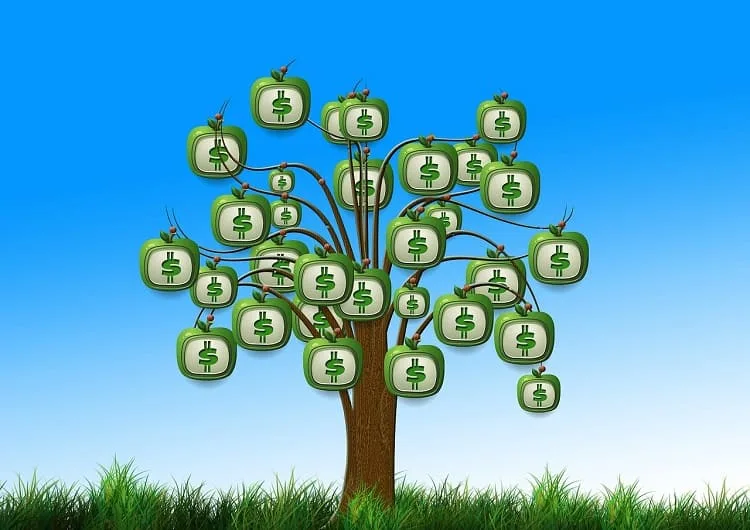 seo prices